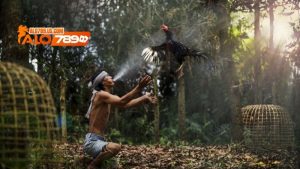 gà bắc kinh