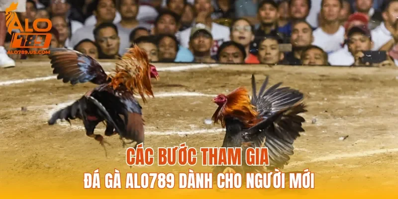 Các bước tham gia Đá Gà ALO789 dành cho người mới