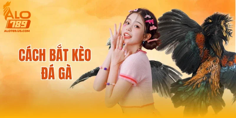 Cách Bắt Kèo Đá Gà