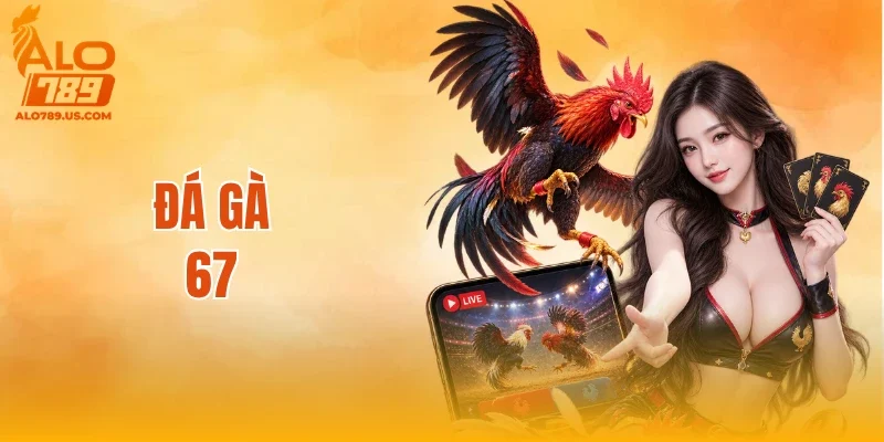Đá Gà 67