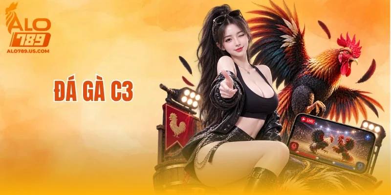 Đá Gà C3