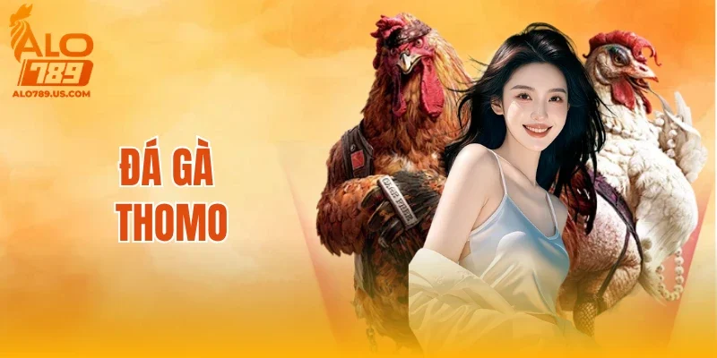 Đá Gà Thomo