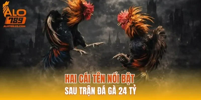 Hai cái tên nổi bật sau trận đá gà 24 tỷ