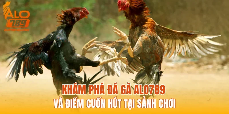 Khám phá Đá Gà ALO789 và điểm cuốn hút tại sảnh chơi