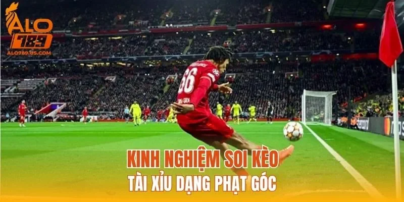 Kinh nghiệm soi kèo tài xỉu dạng phạt góc