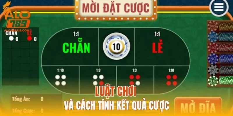 Luật chơi và cách tính kết quả cược