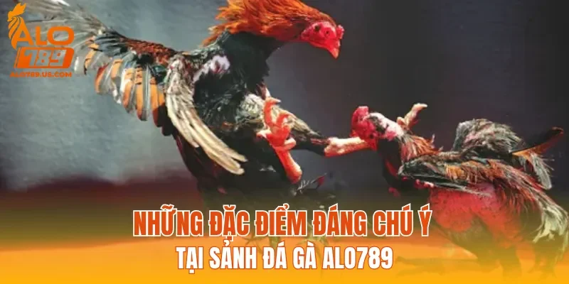 Những đặc điểm đáng chú ý tại sảnh Đá Gà ALO789