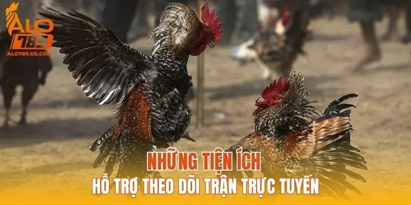 Những tiện ích hỗ trợ theo dõi trận trực tuyến