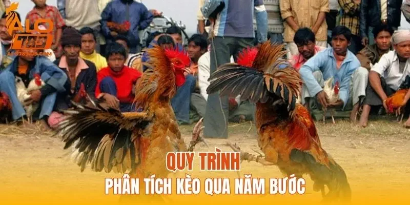 Quy trình phân tích kèo qua năm bước