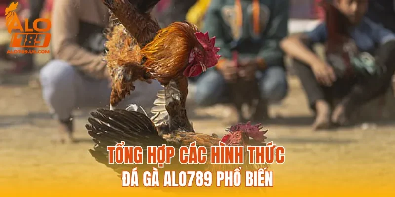 Tổng hợp các hình thức Đá Gà ALO789 phổ biến