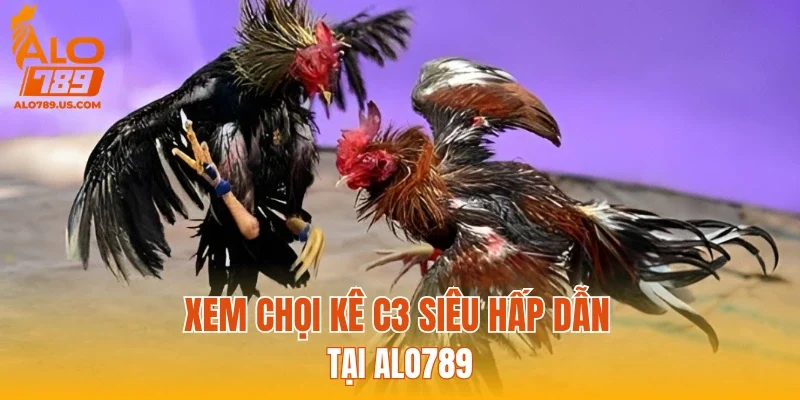 Xem chọi kê C3 siêu hấp dẫn tại ALO789